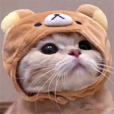 Nguyễn Văn Sơn avatar
